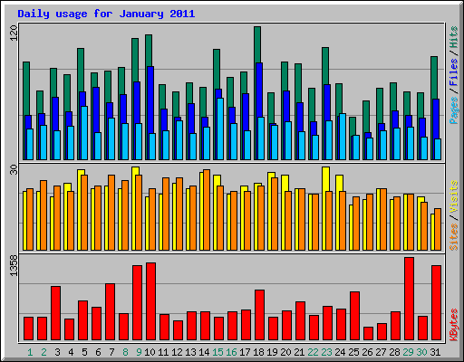 Daily usage for January 2011