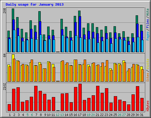 Daily usage for January 2013