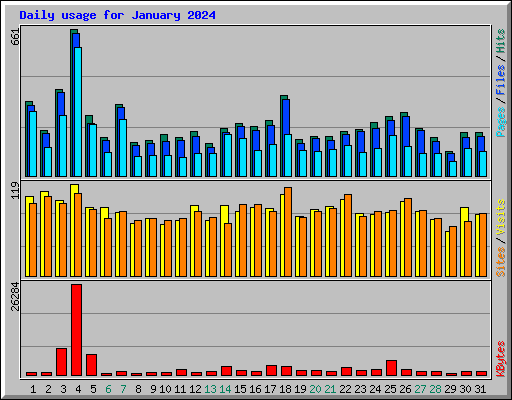 Daily usage for January 2024