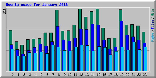 Hourly usage for January 2013
