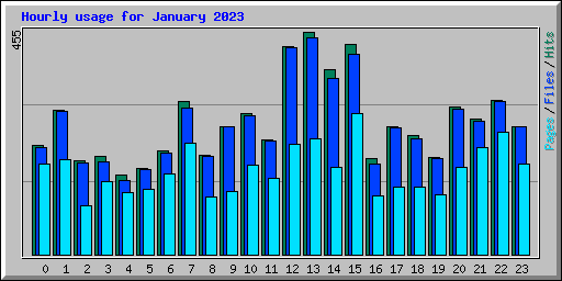 Hourly usage for January 2023