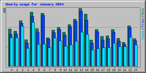 Hourly usage for January 2024