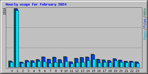Hourly usage for February 2024