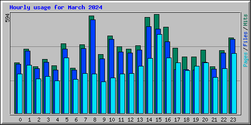 Hourly usage for March 2024
