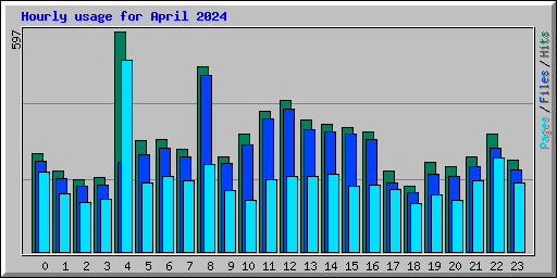 Hourly usage for April 2024