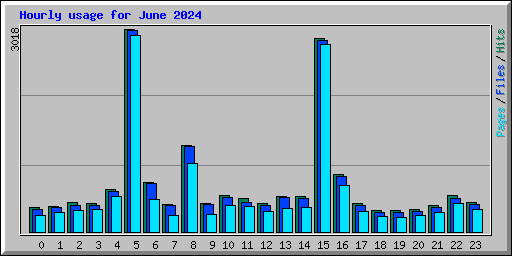 Hourly usage for June 2024
