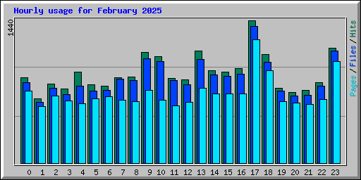 Hourly usage for February 2025