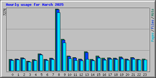Hourly usage for March 2025