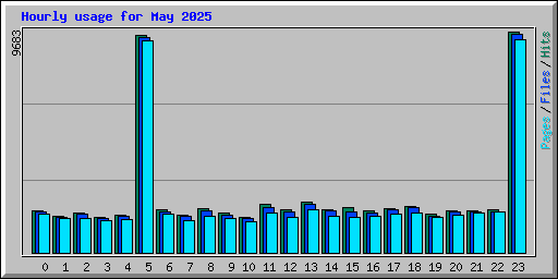 Hourly usage for May 2025